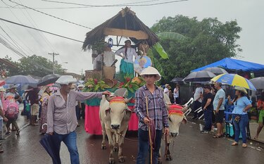 Así se celebró el desfile de carretas en Guararé, por el festival de la Mejorana
