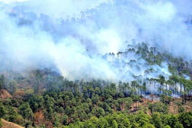 Incendio forestal en Honduras destruye 400 hectáreas de bosque