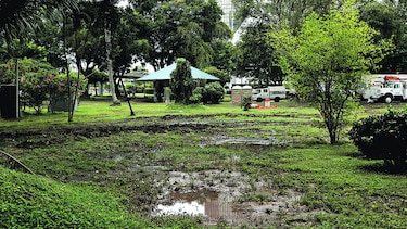 Revelan ofertas para parque