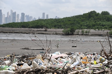 Entre botellas y sobras, la basura en Panamá