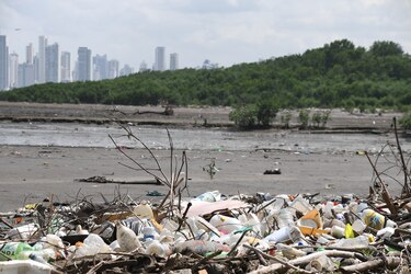 Entre botellas y sobras, la basura en Panamá