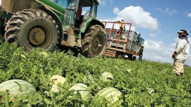 Definen hoja de ruta para reactivar el agro en Azuero