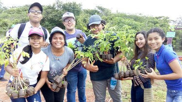 Voluntarios participan en jornada de reforestación