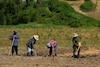Desde las fincas de los agricultores hasta las mesas de los consumidores