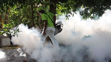 Secuelas del  zika, bajo la lupa