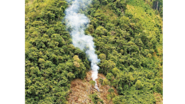 Por año se pierden 123 mil hectáreas del Amazonas