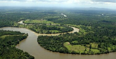 Costa Rica empieza a reforestar camino que construye cerca al río San Juan