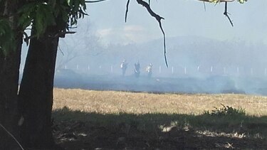 19 incendios de masa vegetal atendidos dentro de operativo de Carnaval