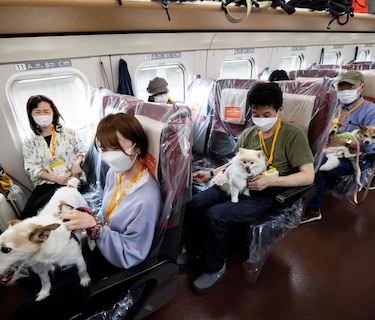 Perros viajan en vagón de tren bala en Japón