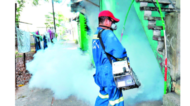 El Minsa reporta cinco embarazadas con zika