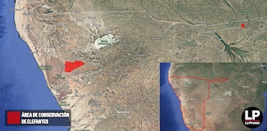 El panameño Gabriel Ledezma lidera proyecto para la conservación de elefantes en Namibia
