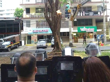 Antimotines en vía Argentina ante protesta vecinal por poda de árboles