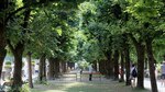 Salzburgo, la pequeña ciudad europea que todo lo tiene