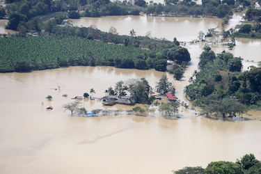 Inundaciones amenazan el corazón bananero de Colombia con más de 1,200 hectáreas afectadas