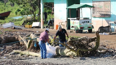 Azuero: Recogen cerca de 6 toneladas de basura en playas