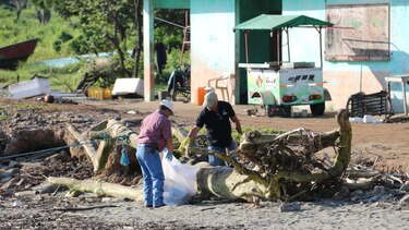 Azuero: Recogen cerca de 6 toneladas de basura en playas