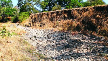 Panamá no pasa la prueba en materia de agricultura
