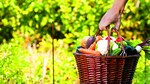 Alimentos, de vuelta a sus orígenes