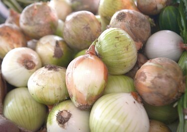 Multan a comerciantes  por vender cebolla cara 