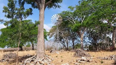 Ganaderos herreranos recurren a molinos de viento