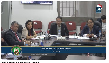Etesa tramita millonario traslado de partidas para cancelar deudas; empresa vinculada a Héctor Brands está entre las beneficiadas