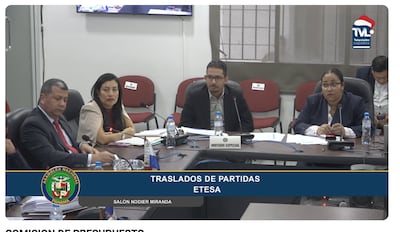 Etesa tramita millonario traslado de partidas para cancelar deudas; empresa vinculada a Héctor Brands está entre las beneficiadas