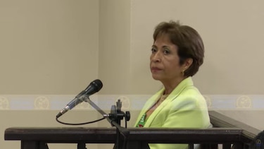 Así transcurre el juicio de New Business: el perito sostiene que el 60% de las acciones de Epasa están en una sociedad cuyo beneficiario es Martinelli