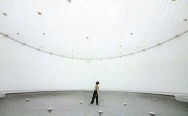 ‘Particular Matter(s)’ y el mundo que co-habitamos