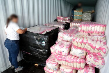 Arroz chino con marca panameña falsificada está contaminado con gorgojo; decomisaron más de 32 mil libras