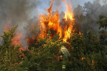 Incendio forestal doloso consume parque natural gallego