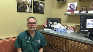 Científicos en Estados Unidos quieren estudiar marihuana veterinaria