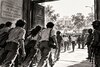 La voluntad convertida en ley