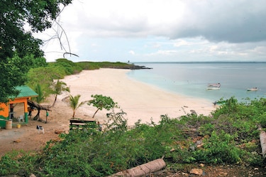 Programan jornada de limpieza en Isla Iguana