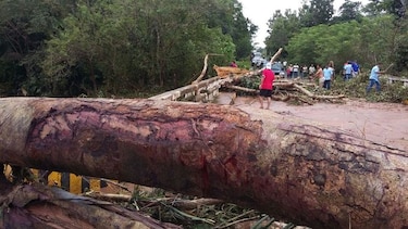 Varios árboles caídos y desprendimientos de estructuras en  Veraguas
