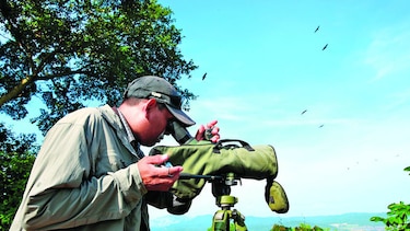 Estudio de aves en Panamá