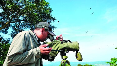 Estudio de aves en Panamá