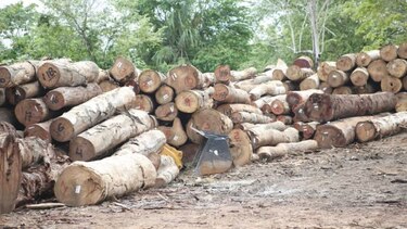 Emberá wounaan denuncian usurpación de sus cargos