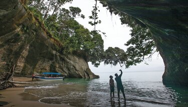 Oenegés: Miambiente cede 30% del  patrimonio 