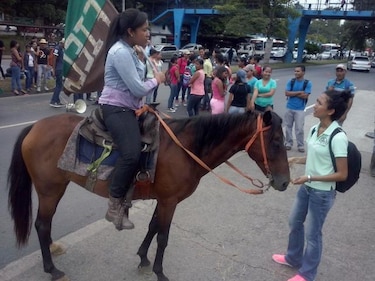 Estudiantes de Ciencias Agropecuarias de la UP reabren la vía Transístmica