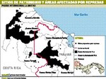 Represas ponen en peligro la biodiversidad del PILA