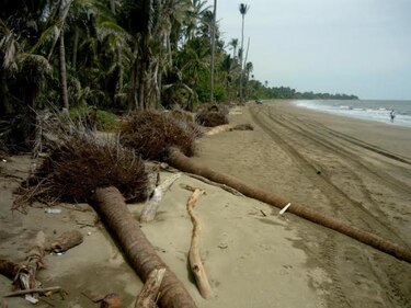 Estudian transformaciones geomorfológica en la costa de Pedasí