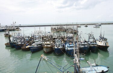 Marinos piden declarar veda para todo tipo de pescado