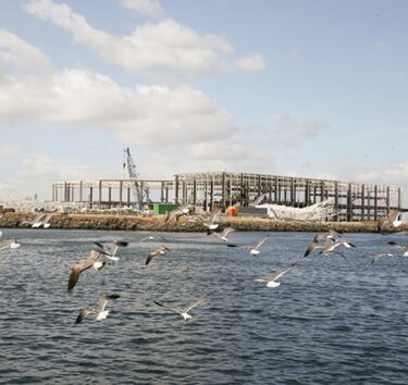 Cámara Marítima pide aplazar a febrero recepción de ofertas para operar puerto
