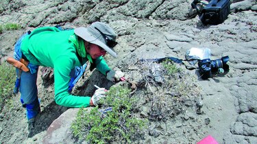 Los dinosaurios rompían la dieta