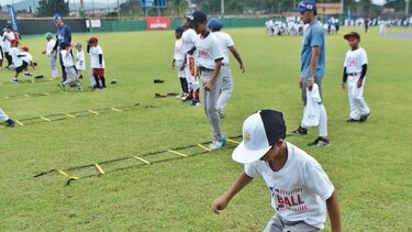 MLB pone la mira en Panamá