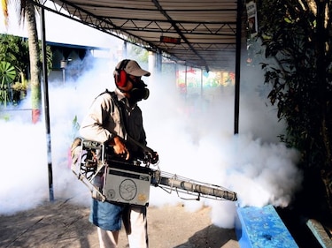 Minsa pide colaboración de ciudadanos para eliminar criaderos de mosquitos