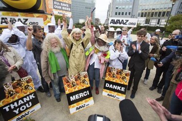 CE prohibirá parcialmente tres pesticidas que perjudican a las abejas