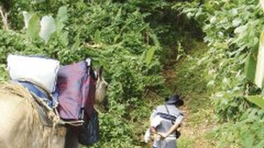 En Jobo Centro piden vías de producción