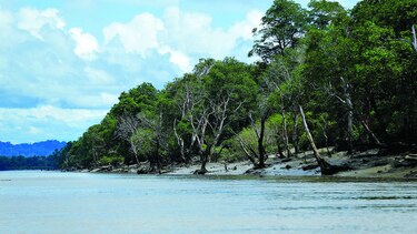Matusagaratí sería reserva en 45 días