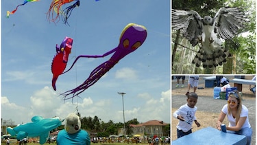 Fin de semana de actividades: Cometas, yoga, Festi Harpía y buenas acciones